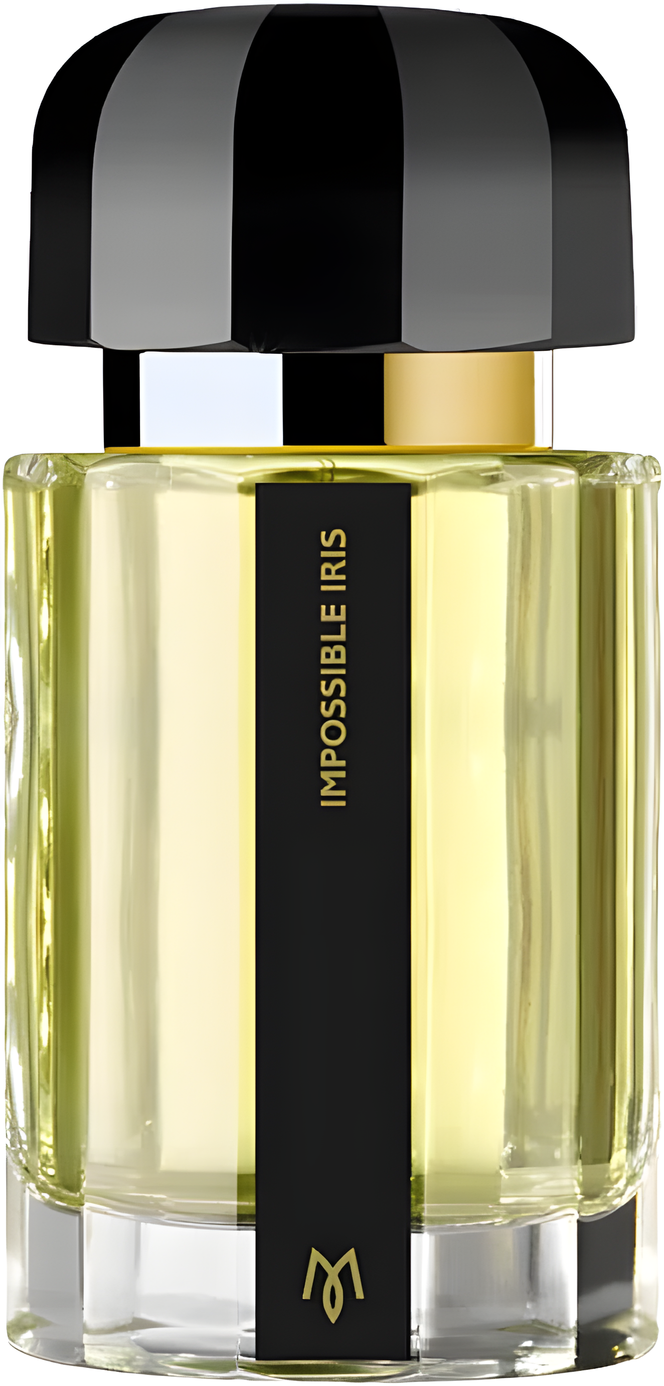 Ramon Monegal Impossible Iris
